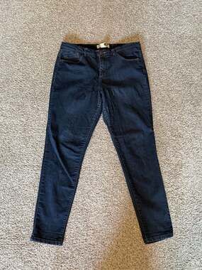 Democracy Absolution Dark Wash Skinny Jeans Size 10